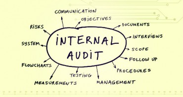Internal Audit Function