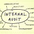 Internal Audit Function