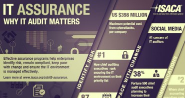 Information System Audit and Assurance Standards